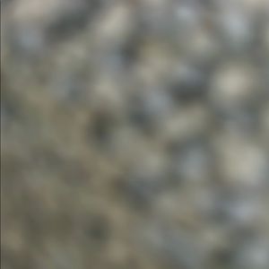 Meet your Posher, Logan